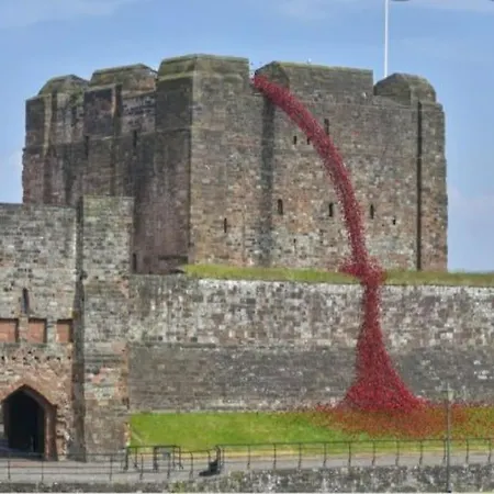 Large Comfortable 1st Floor With Private Yard Apartment